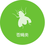 蒼蠅防治